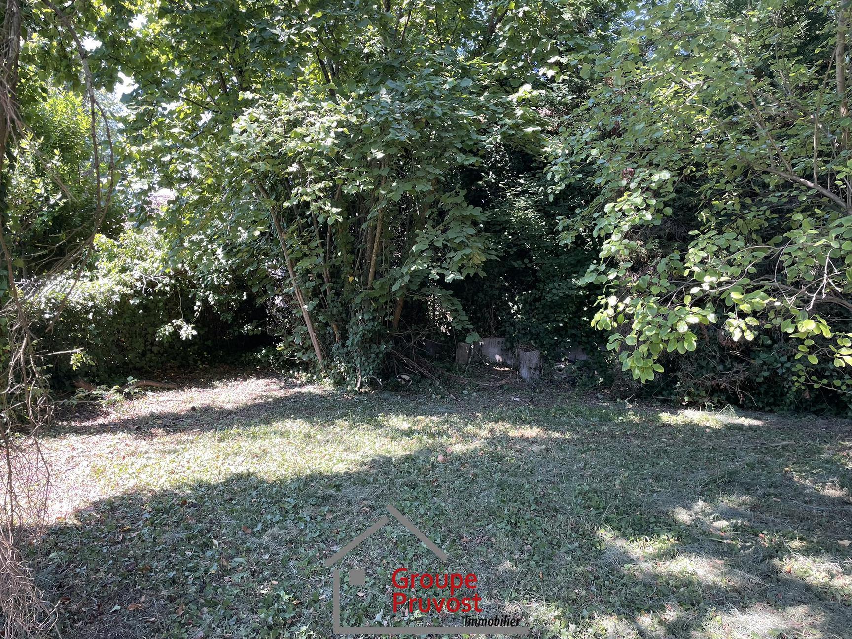 gedeon-photo-23f602e5d5ab60f5837d43f5f54bb726 Anse centre Terrain 895m²