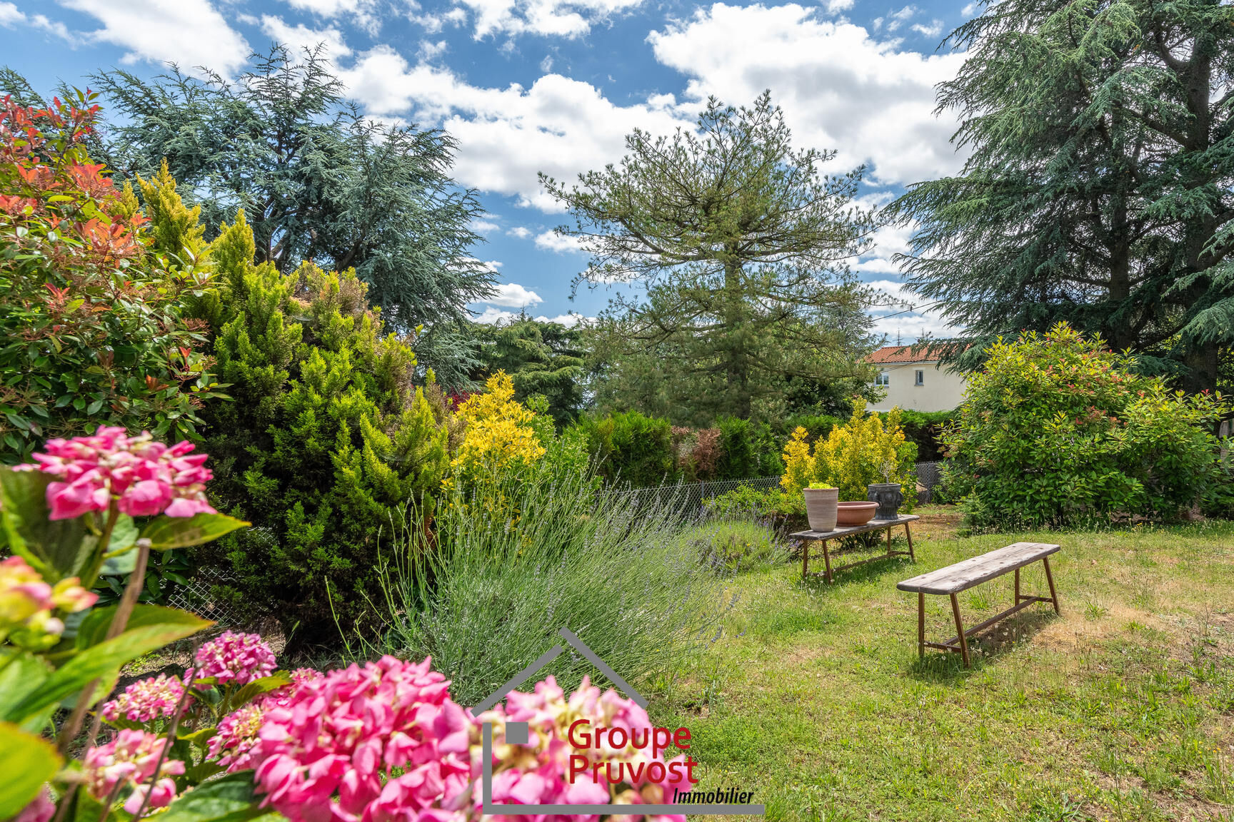 gedeon-photo-cbf01e62177d482151a4a02229233f96 Plain pied