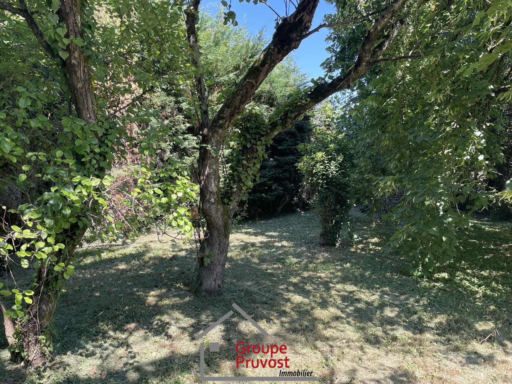 gedeon-photo-cea48a7cdd39387162316b9127462add Anse centre Terrain 895m²