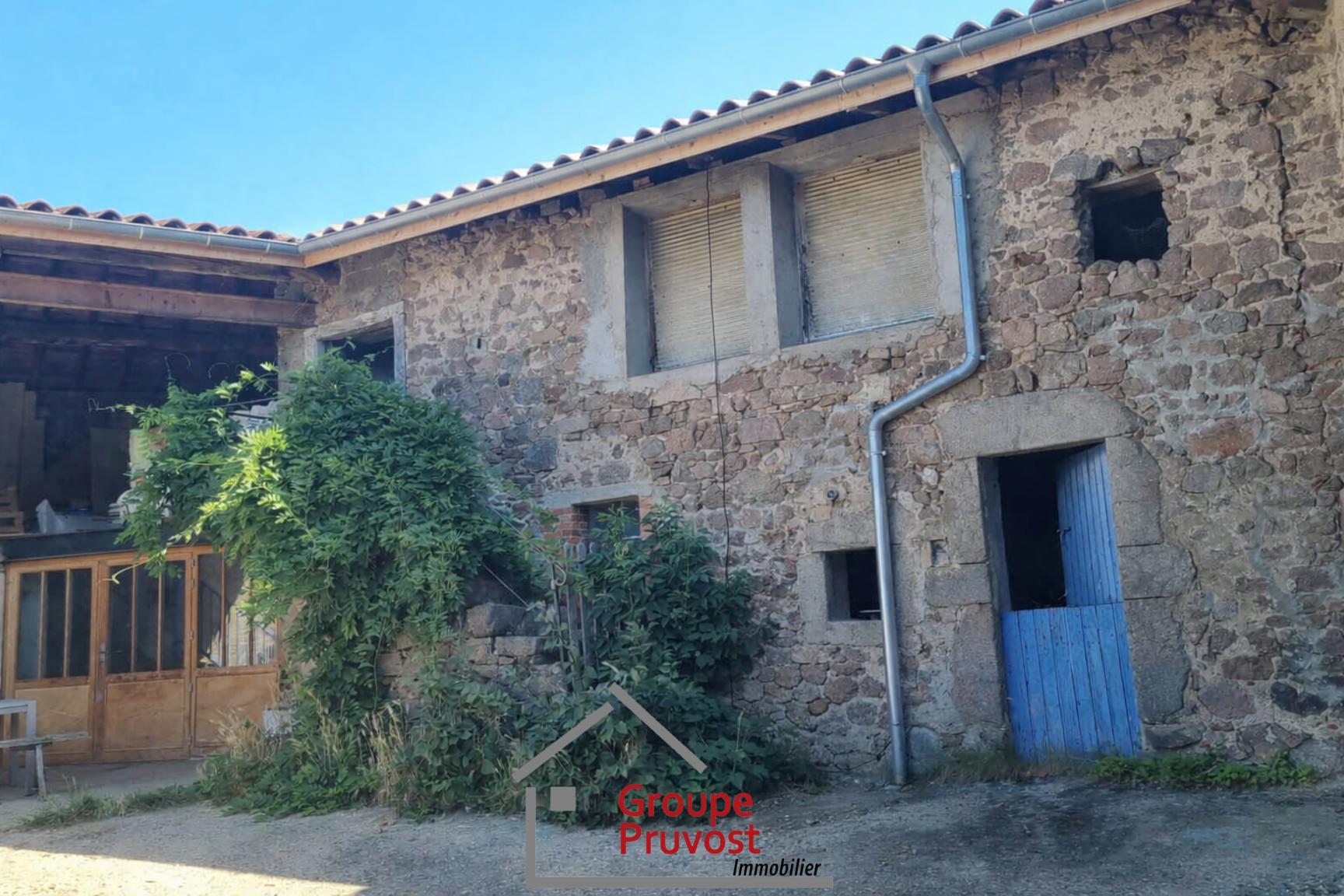 gedeon-photo-133c45533028647f2ca110c8b2f76957 Corps de ferme avec terrain et box