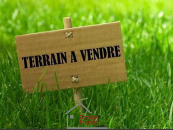 Joli terrain plat