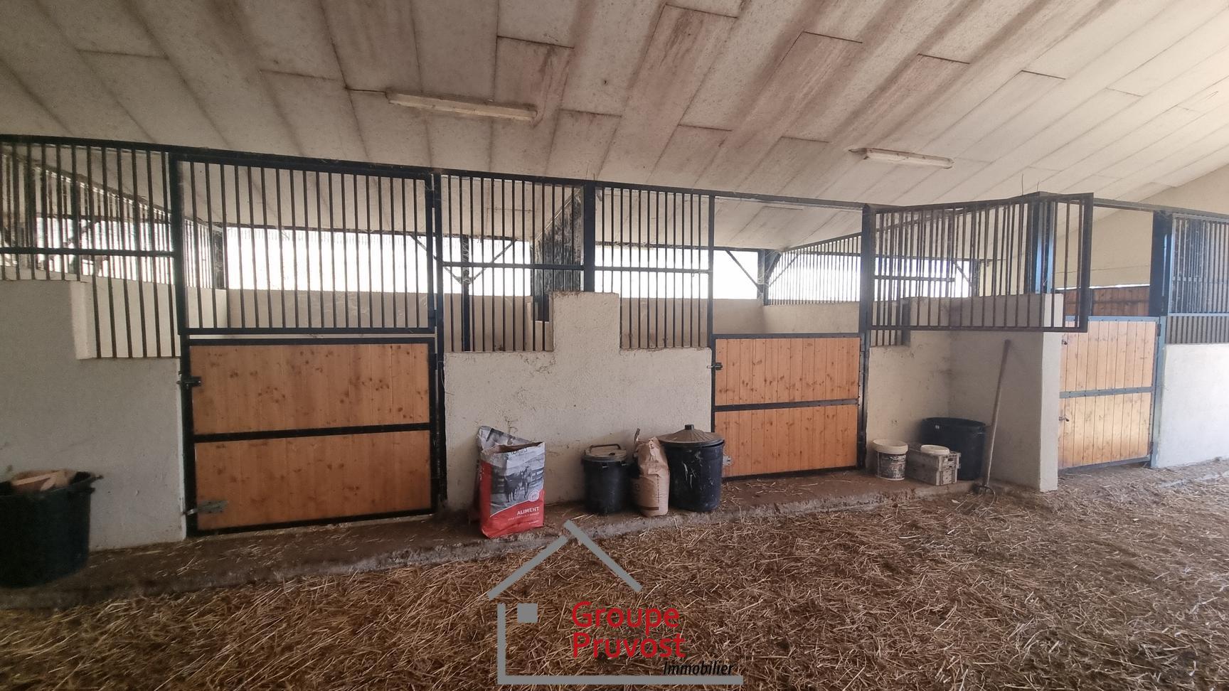 gedeon-photo-64bbf4b895cf671d67e6cad1ad1974e6 Corps de ferme avec terrain et box