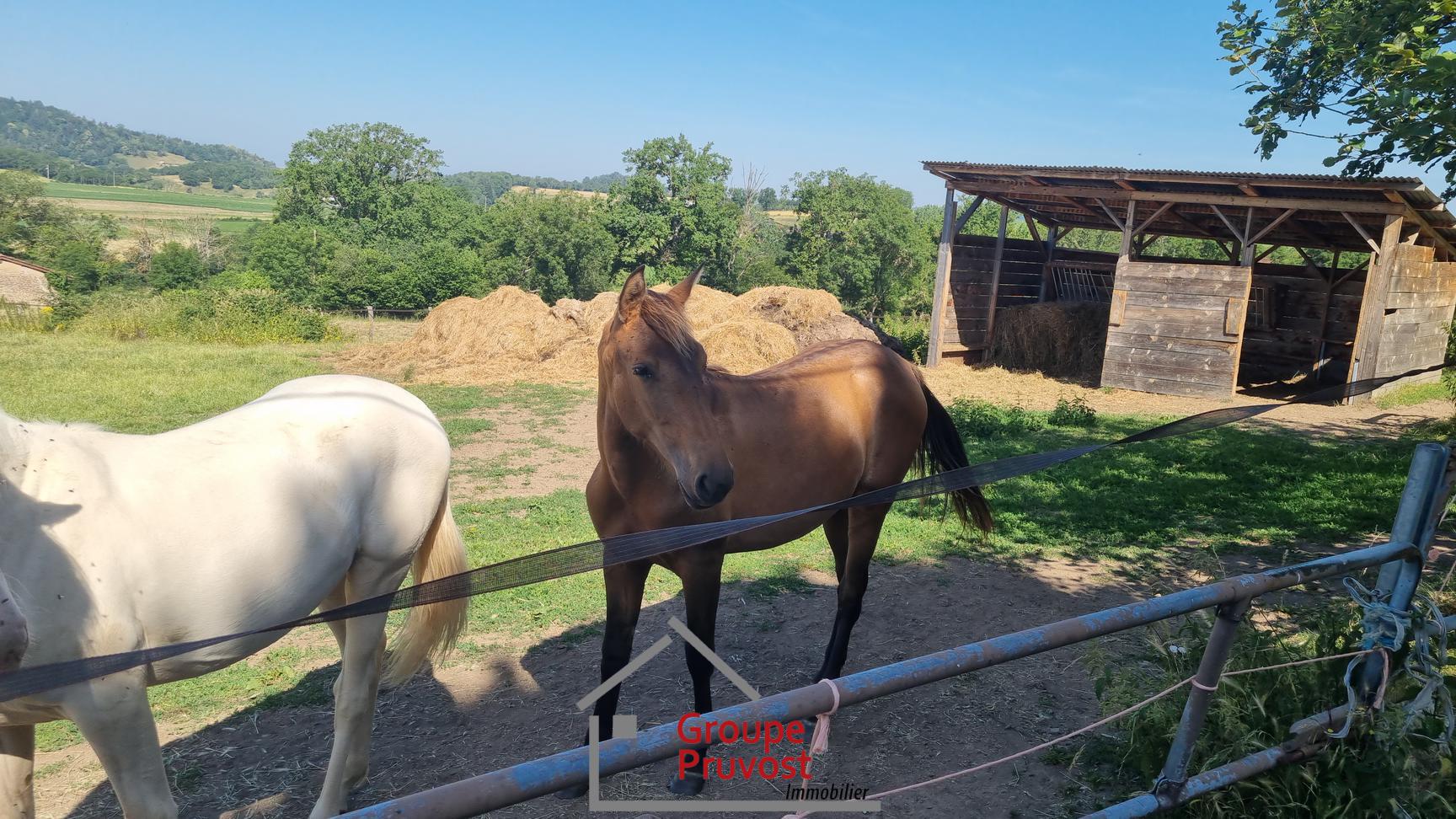 gedeon-photo-c3e0c986d7772f7425ec21a74aa33f28 Corps de ferme avec terrain et box