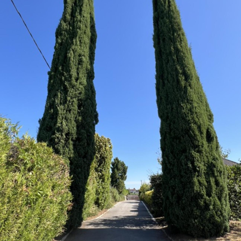 780